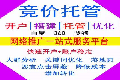 某品牌通过SEM优化实现品牌增长的故事